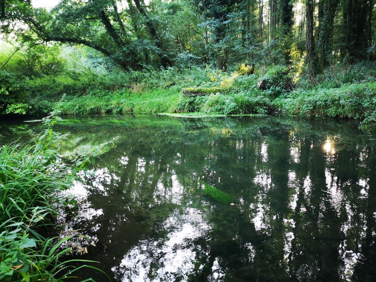 Otter 1 Huntersmoon-Warminster-Longleat-Wiltshireヴィラ エクステリア 写真