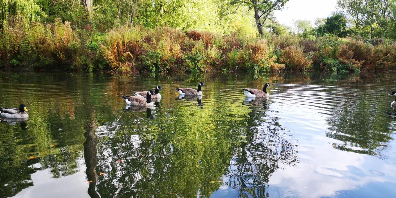 Otter 1 Huntersmoon-Warminster-Longleat-Wiltshireヴィラ エクステリア 写真